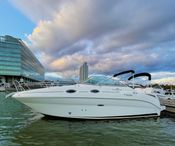 2010 Sea Ray 255 Sundancer