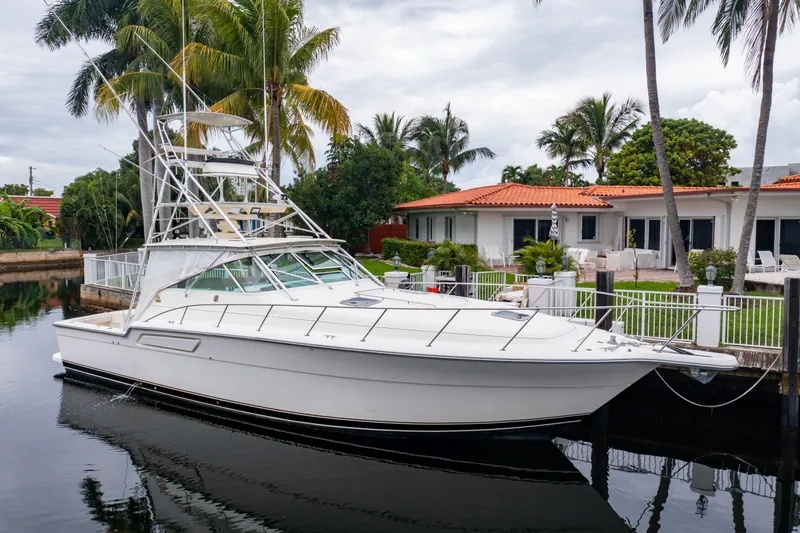 Amadeus Yacht Photos Pics 