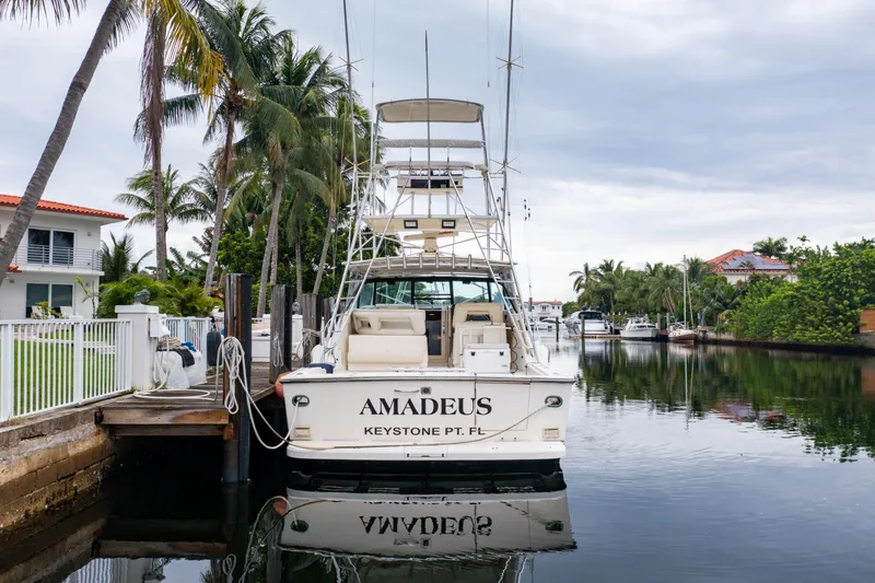 Amadeus Yacht Photos Pics 