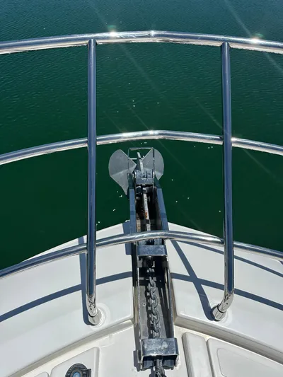 Zooland Yacht Photos Pics 