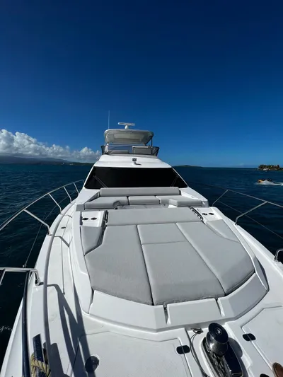 Zooland Yacht Photos Pics 