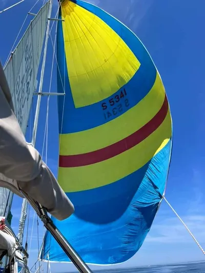 Ibis Yacht Photos Pics 