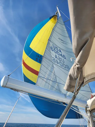 Ibis Yacht Photos Pics 