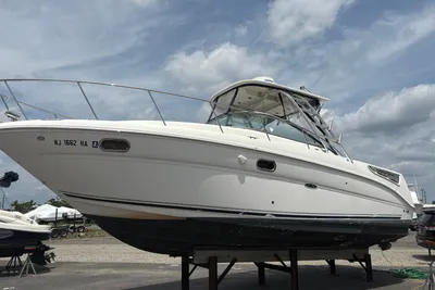 Sea Ray 290 Amberjack