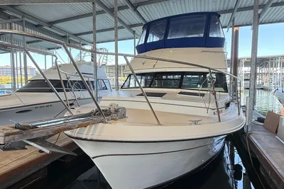 Bayliner 4050 Bodega