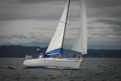 Finngulf 41