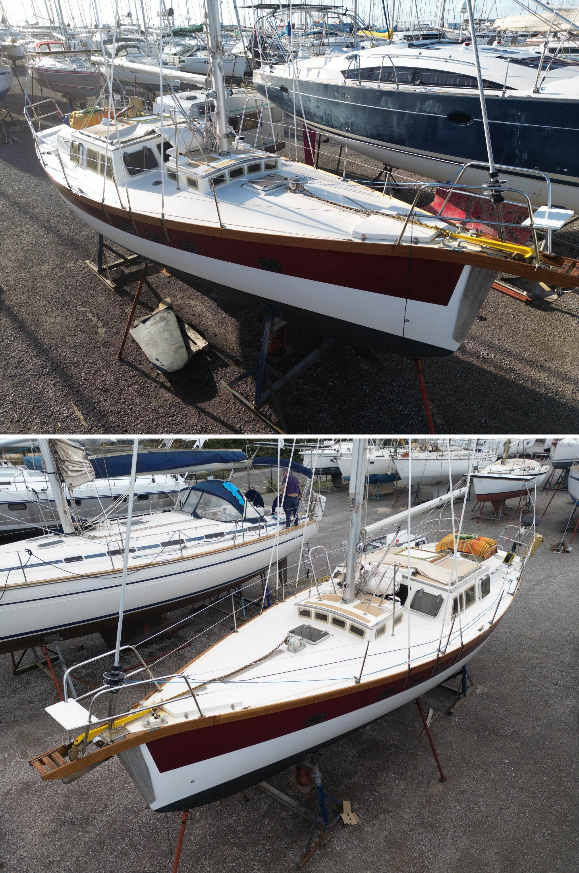 1990 Custom haliotis