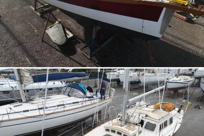 1990 Custom haliotis