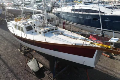 1990 Custom haliotis