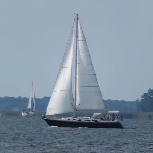 Magic Bus Yacht Photos Pics 