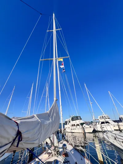 Magic Bus Yacht Photos Pics 