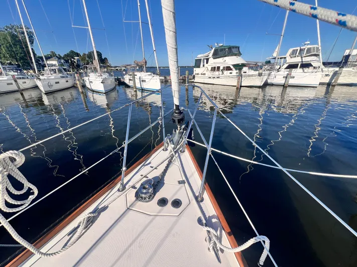 Magic Bus Yacht Photos Pics 