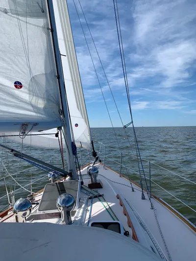 Magic Bus Yacht Photos Pics 