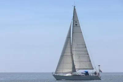 1995 Winner 11.20