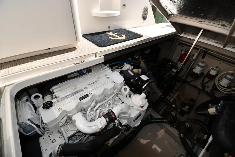 Land Shark Yacht Photos Pics 