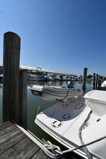 Land Shark Yacht Photos Pics 2010 Sea Ray 450 Sundancer docked at marina under clear blue sky.