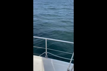 Video Placeholder