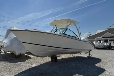 Cobia 240 DC
