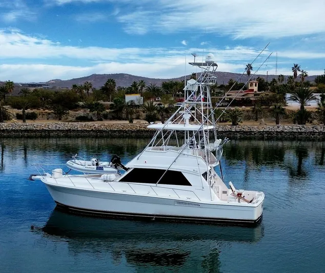 Warrior Yacht Photos Pics 2001 Riviera 43 Flybridge yacht on calm water, scenic background.
