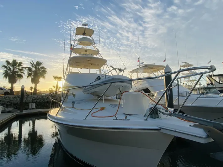 Warrior Yacht Photos Pics 2001 Riviera 43 Flybridge yacht docked at sunset with palm trees in the background.
