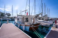 Custom 2016 trawler docked at marina, surrounded by sailboats under clear blue sky.