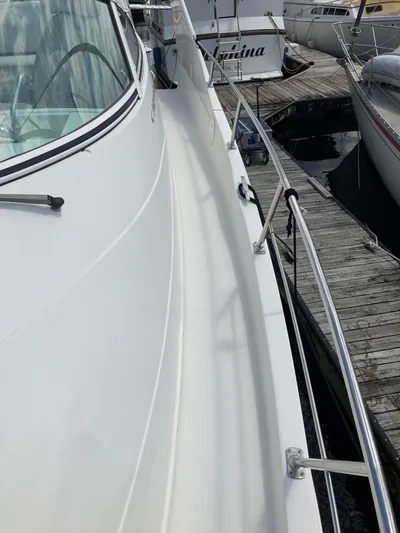 The Turtle Yacht Photos Pics 