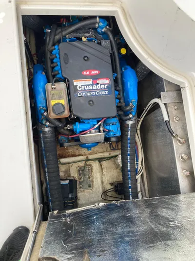 The Turtle Yacht Photos Pics 