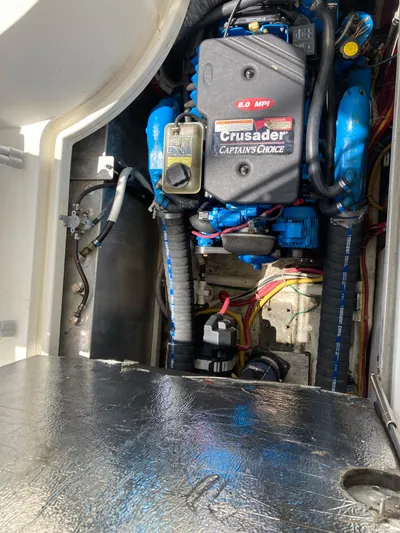 The Turtle Yacht Photos Pics 