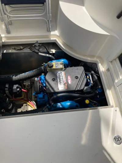 The Turtle Yacht Photos Pics 