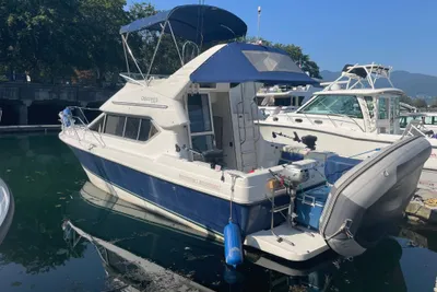 Bayliner Discovery 288