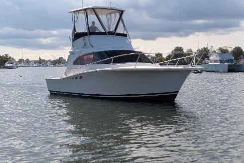 Luhrs 32