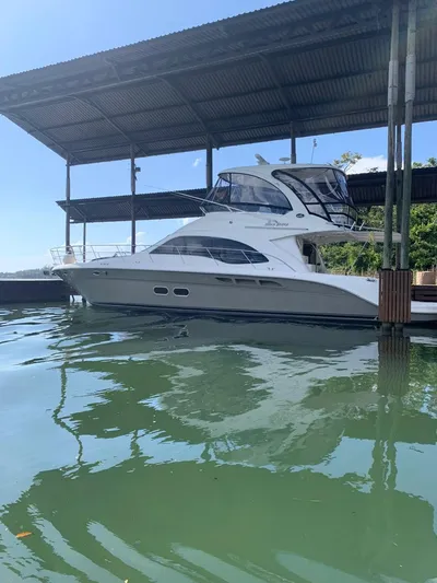  Yacht Photos Pics 2006 Sea Ray 52 Sedan Bridge yacht docked under a covered marina.
