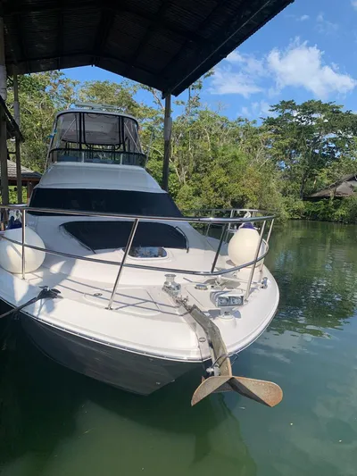  Yacht Photos Pics 2006 Sea Ray 52 Sedan Bridge yacht docked in a serene, wooded area.