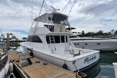 Viking 55 Convertible