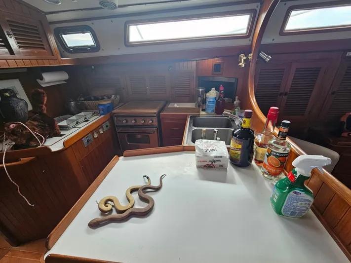 Voyager Yacht Photos Pics 