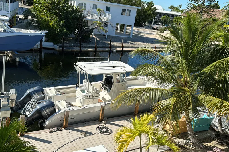  Yacht Photos Pics 2019 World Cat 295 CC boat docked near palm trees and waterfront homes.