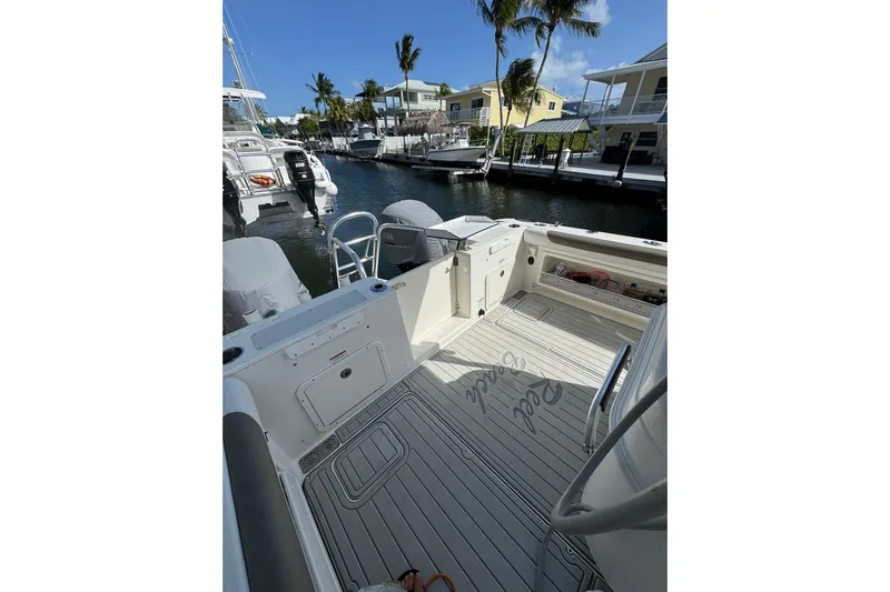  Yacht Photos Pics 2019 World Cat 295 CC boat docked in a sunny marina with palm trees.