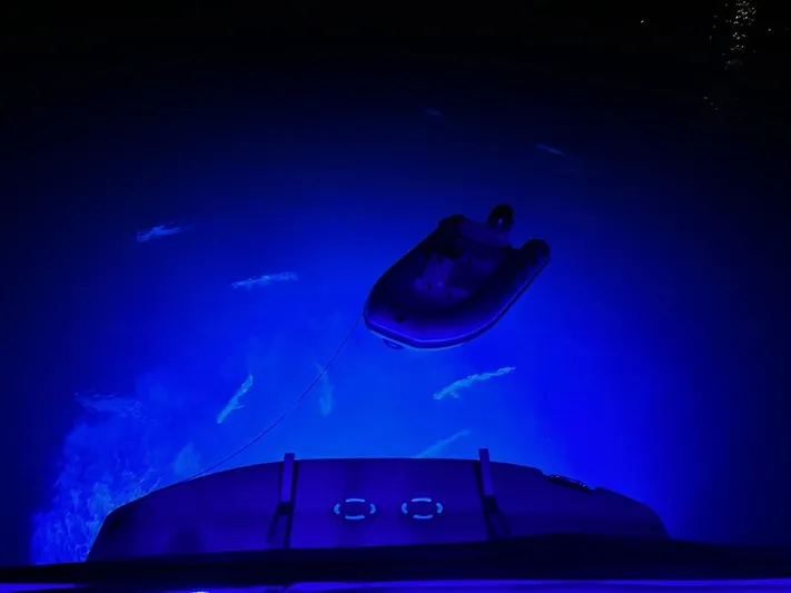 Someday Came Yacht Photos Pics 2008 Sea Ray 47 Sedan Bridge with blue underwater lights and inflatable boat at night.