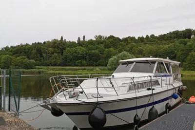 1978 Eastwood Argo 1000
