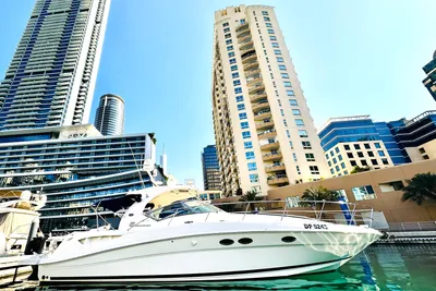 Sea Ray 390 Sundancer