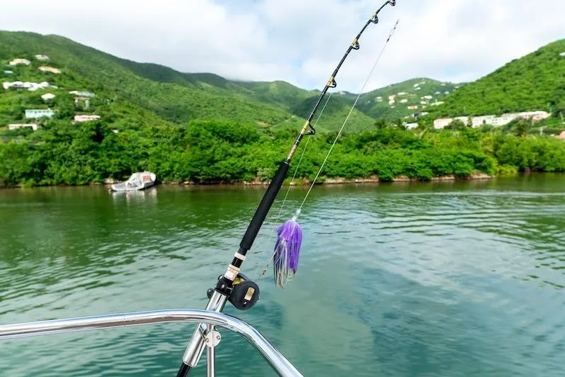 Ruby One Yacht Photos Pics Fishing rod on Leopard 58 yacht, 2020, with lush green hills in the background.