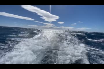 Video Placeholder