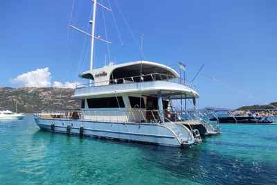 2016 Custom Ozgur Ozdemir Catamaran Motor