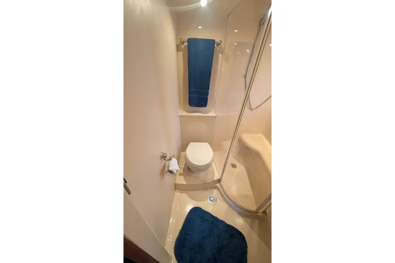 High Flyer Yacht Photos Pics Bathroom interior of 2007 Meridian 411 Sedan Bridge yacht with shower and toilet.