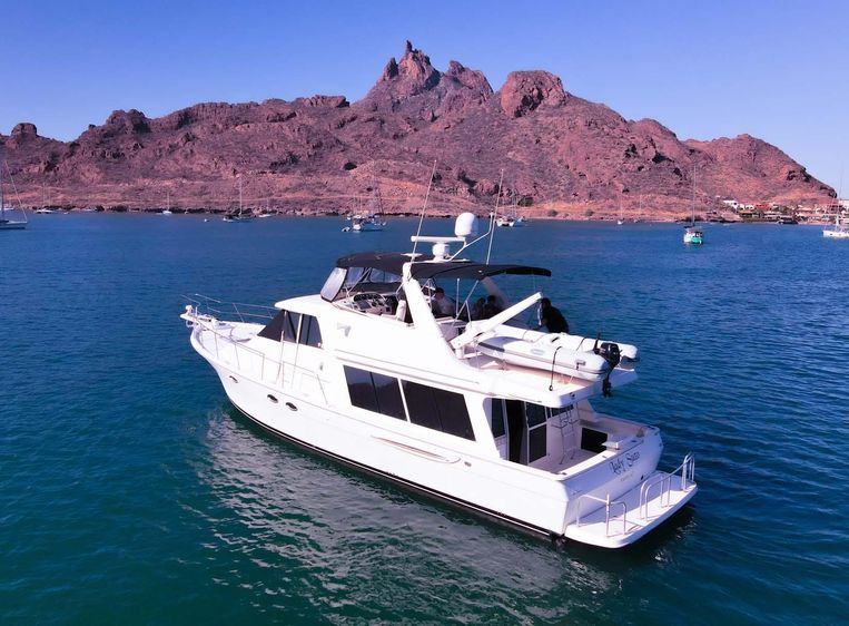 2007-49-meridian-490-pilothouse