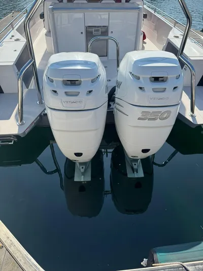 Sea Dog Yacht Photos Pics 