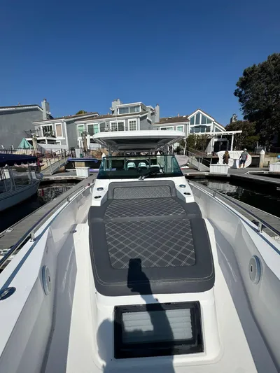 Sea Dog Yacht Photos Pics 