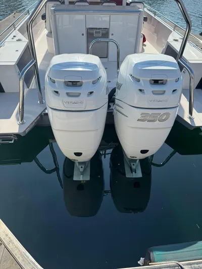 Sea Dog Yacht Photos Pics 