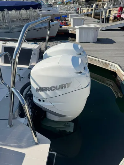 Sea Dog Yacht Photos Pics 