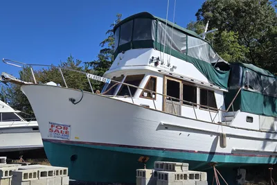 Marine Trader 35 sundeck